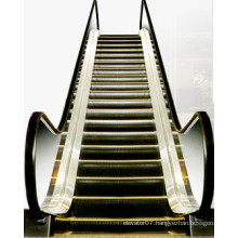 Fjzy Indoor Escalator with 30 Degree 1000mm Step Width